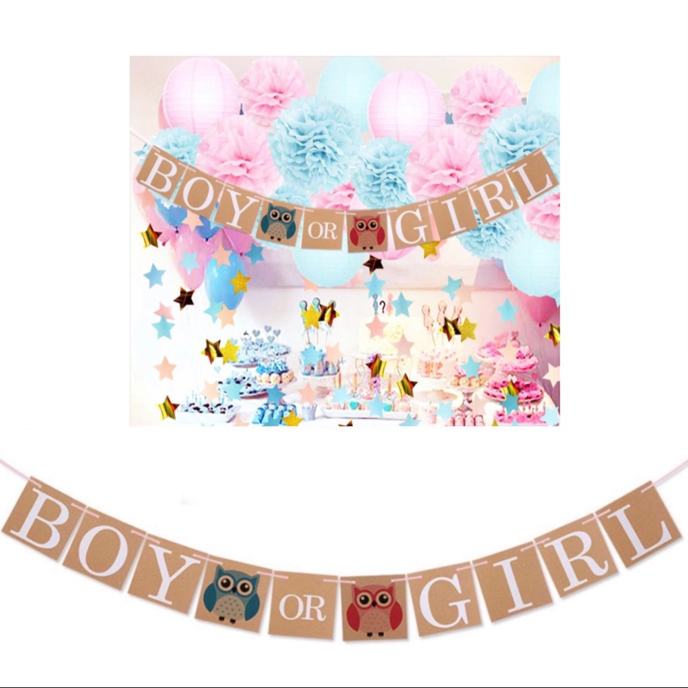 Baby Shower Banner Gender Reveal Party BOY or GIRL